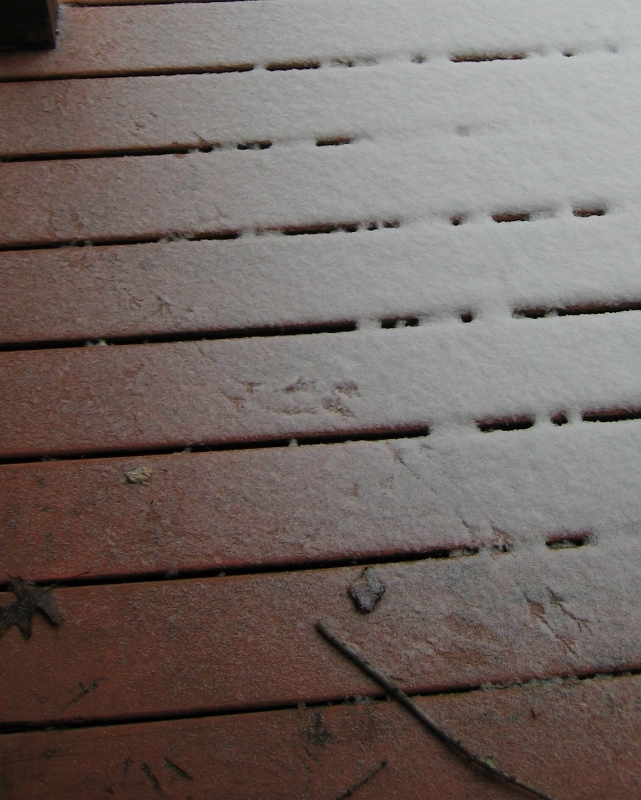 Bird footprints on the porch.